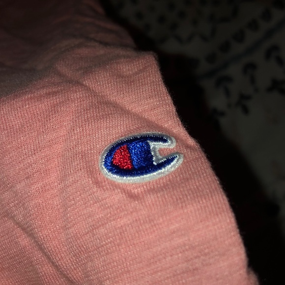 Champion vest - Picture 4 of 4